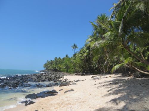 Strand, Appartement dans Villa avec jardin et piscine pour détente et évasion (Appartement dans Villa avec jardin et piscine pour detente et evasion) in Remire-Montjoly Strand, Appartement dans Villa avec jardin et piscine pour détente et évasion (Appartement dans Villa avec jardin et piscine pour detente et evasion) in Remire-Montjoly