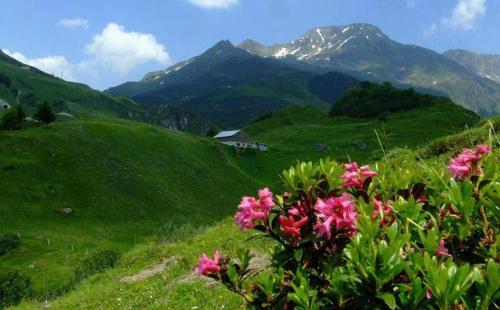 This photo about Hotel Badus shared on HyHotel.com