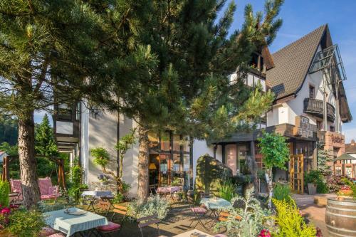 منظر, Waldhotel Felsentor in هوينستين منظر, Waldhotel Felsentor in هوينستين