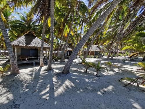View, AOTERA GUEST HOUSE in Rangiroa View, AOTERA GUEST HOUSE in Rangiroa