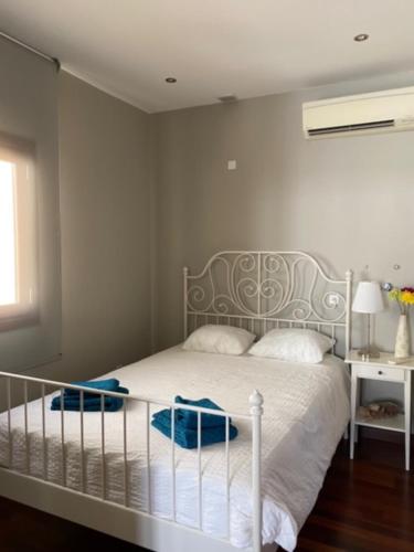 innCádizPenthouse Palacio de Valdeavellano