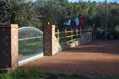 This photo about What About Pisa shared on HyHotel.com