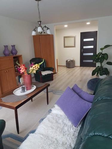 Kaimo apartamentai! in 布比艾 Kaimo apartamentai! in 布比艾