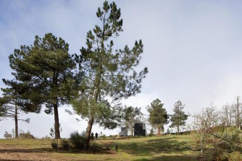 رياضة و نشاطات, CASA NO CASTANHEIRO in Meda رياضة و نشاطات, CASA NO CASTANHEIRO in Meda