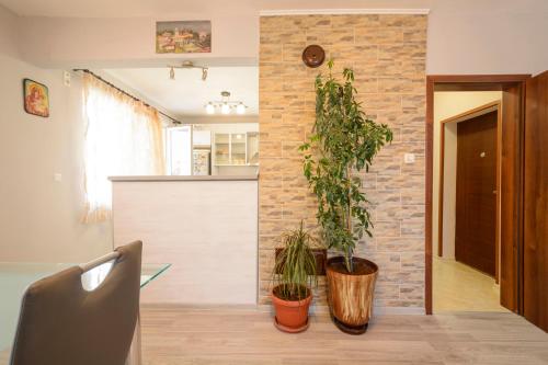 Apartment Yanevi in Lozenets Apartment Yanevi in Lozenets