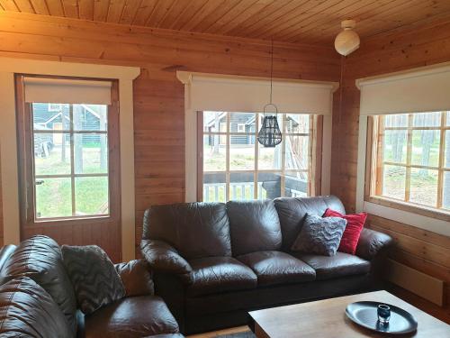 PyhaBerry in Pyhatunturi PyhaBerry in Pyhatunturi