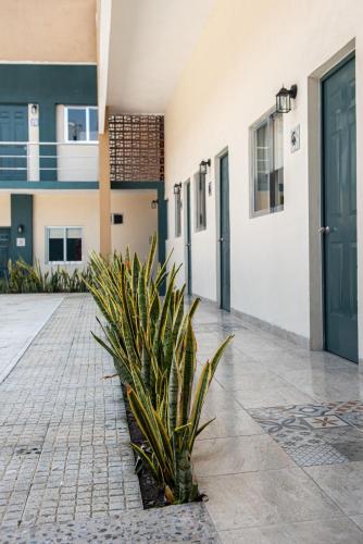 Hotel Casa Real in Villahermosa City Center Hotel Casa Real in Villahermosa City Center