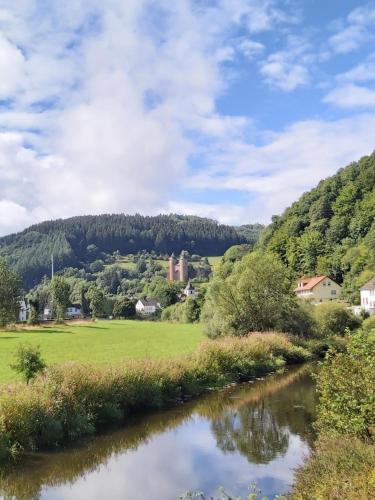 Surrounding environment, die rote Ente in Murlenbach Surrounding environment, die rote Ente in Murlenbach