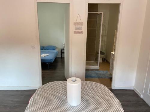 Bathroom, Arceaux Montpellier Apartment in Les Cevennes Bathroom, Arceaux Montpellier Apartment in Les Cevennes