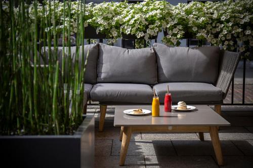 Comida y bebida, Apartamenty Sowa Bydgoszcz in Bydgoszcz Comida y bebida, Apartamenty Sowa Bydgoszcz in Bydgoszcz