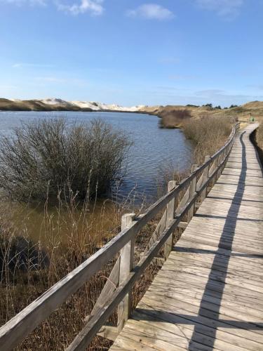 Attractions, Hotel Sudstrand Amrum in Nebel Attractions, Hotel Sudstrand Amrum in Nebel