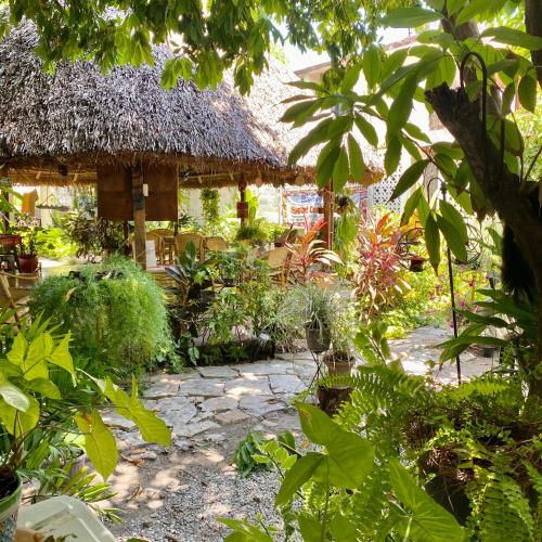 Hostal Casa Huasteca in Ciudad Valles Hostal Casa Huasteca in Ciudad Valles
