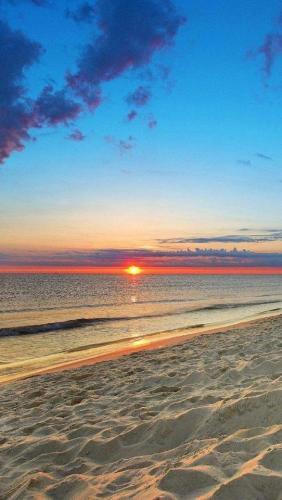 Cecelia Resort private chalets for Families only