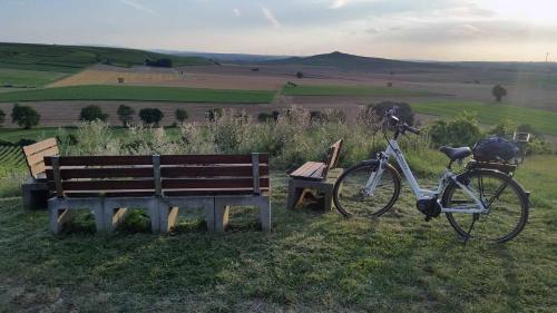 A környék, Ferienwohnung Olm in Dolgesheim A környék, Ferienwohnung Olm in Dolgesheim