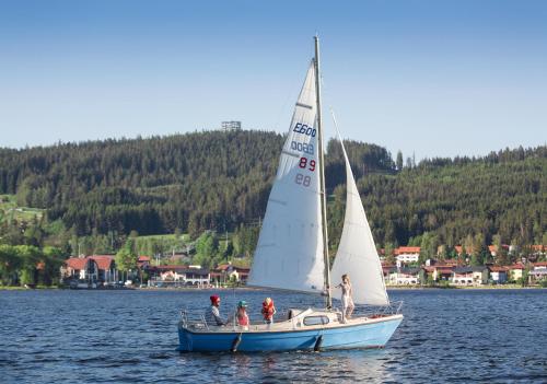 Sports and activities, Holiday Villa Lake Lipno in Lipno nad Vltavou Sports and activities, Holiday Villa Lake Lipno in Lipno nad Vltavou