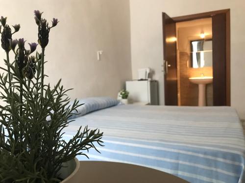Guestroom, Miciosa - Immobilevante in Ponza Island Guestroom, Miciosa - Immobilevante in Ponza Island