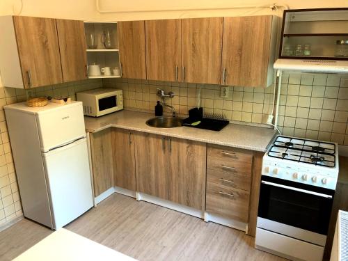 ห้องครัว, Apartmán Luční (Apartman Lucni) in เมืองเก่าเตลช์ ห้องครัว, Apartmán Luční (Apartman Lucni) in เมืองเก่าเตลช์
