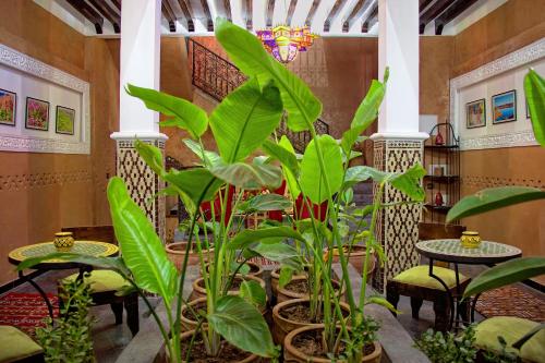 Cơ sở vật chất, Hotel Azoul in Ouarzazate Cơ sở vật chất, Hotel Azoul in Ouarzazate