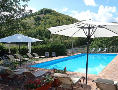 Swimming pool, Selvicolle Country House in Castelraimondo Swimming pool, Selvicolle Country House in Castelraimondo