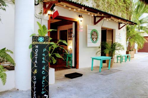 Hostal & Suites Pata de Perro in Centro Hostal & Suites Pata de Perro in Centro