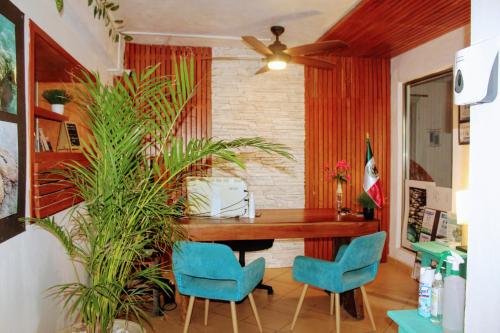 Hostal & Suites Pata de Perro in Centro Hostal & Suites Pata de Perro in Centro