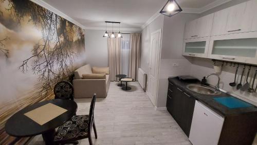 APARTMAN studio DADO in Uzice APARTMAN studio DADO in Uzice