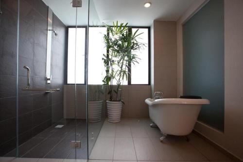 Bathroom, Pinetree Hotel near Glow Park - Batu Pahat Bathroom, Pinetree Hotel near Glow Park - Batu Pahat