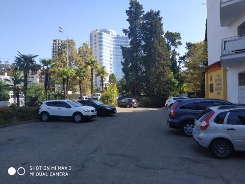 Surrounding environment, Апарт-отель Манго in Sochi Surrounding environment, Апарт-отель Манго in Sochi