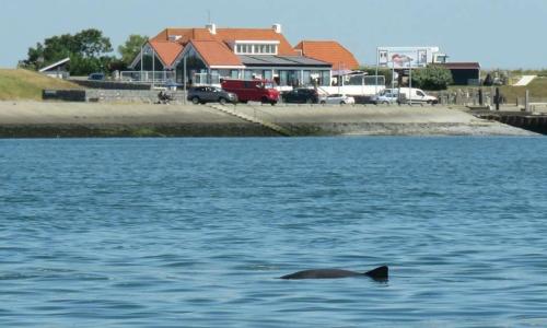 Heerenkeet Oosterschelde zicht 2 pers in Kerkwerve Heerenkeet Oosterschelde zicht 2 pers in Kerkwerve