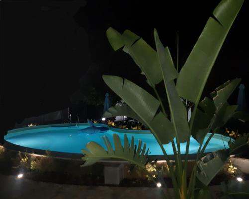 Swimming pool, Casale Bavi in Ortona Swimming pool, Casale Bavi in Ortona