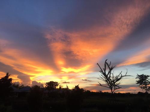 View, Chapulin Natural Resort. in Sankampaeng View, Chapulin Natural Resort. in Sankampaeng