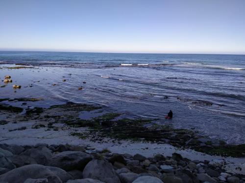 The Lazy Shag Lodge in Kaikoura The Lazy Shag Lodge in Kaikoura