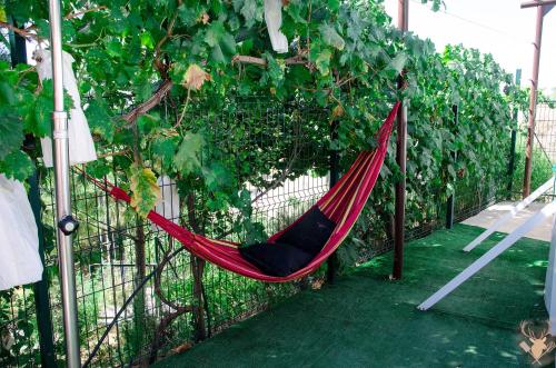 Kert, Cueva La Panadera - CuevasCazorla in Hinojares Kert, Cueva La Panadera - CuevasCazorla in Hinojares