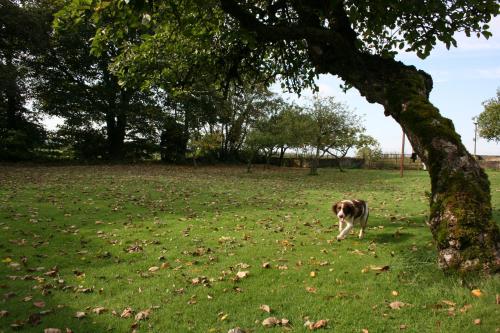 حديقة, Moate Lodge in آثي حديقة, Moate Lodge in آثي