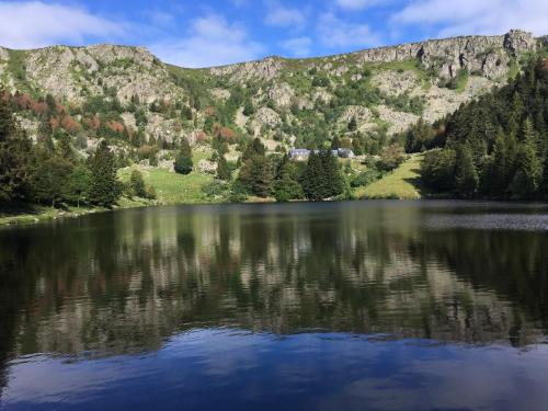 CHEZ LOU ET MAX : UN HAVRE DE PAIX. in Stosswihr CHEZ LOU ET MAX : UN HAVRE DE PAIX. in Stosswihr