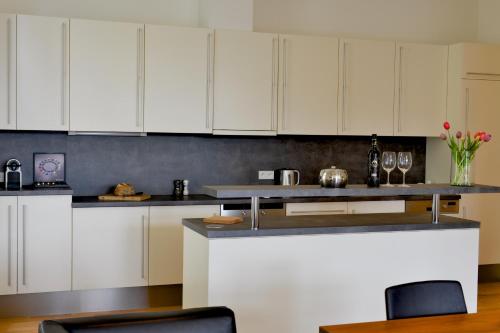 Kitchen, Kolonada Luxury 3 bedroom apartment Manes in Marianske Lazne Kitchen, Kolonada Luxury 3 bedroom apartment Manes in Marianske Lazne