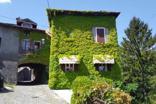 The Ivy House in the Castle