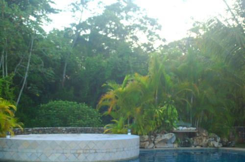 Swimming pool, Axkan Palenque in Palenque Swimming pool, Axkan Palenque in Palenque