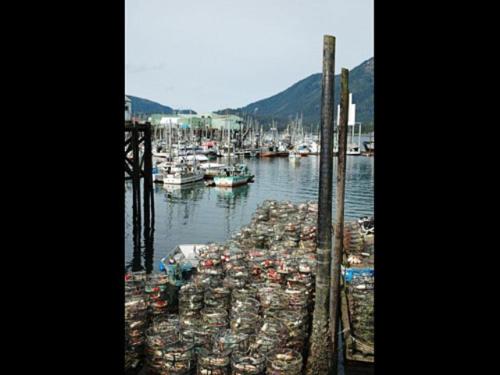 This photo about Tides Inn shared on HyHotel.com