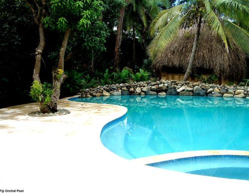 Bể bơi, The Fiji Orchid Resort in Lautoka Bể bơi, The Fiji Orchid Resort in Lautoka