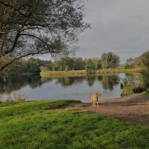 A környék, In de bocht in Heiloo A környék, In de bocht in Heiloo