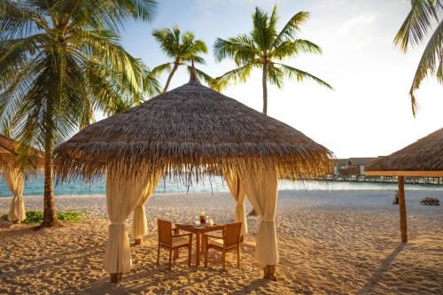 Étterem, Reethi Faru, Bio Luxury Resort in Raa-korallzátony Étterem, Reethi Faru, Bio Luxury Resort in Raa-korallzátony
