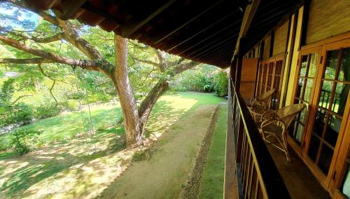 شرفة/ تراس, فندق ديونز أوناواتونا (Dunes Unawatuna Hotel) in اوناوتونا شرفة/ تراس, فندق ديونز أوناواتونا (Dunes Unawatuna Hotel) in اوناوتونا