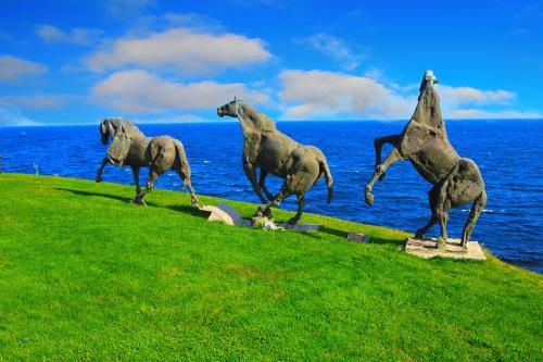 منظر, Art Complex Anel in سوزوبول منظر, Art Complex Anel in سوزوبول