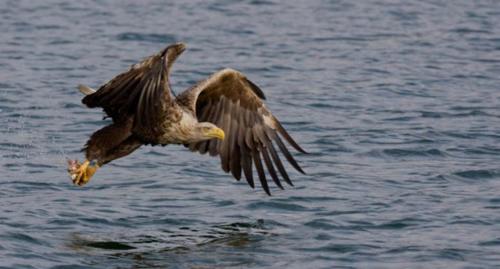 Tuulingu Holiday House at Matsalu National Park in Ridala Vald Tuulingu Holiday House at Matsalu National Park in Ridala Vald