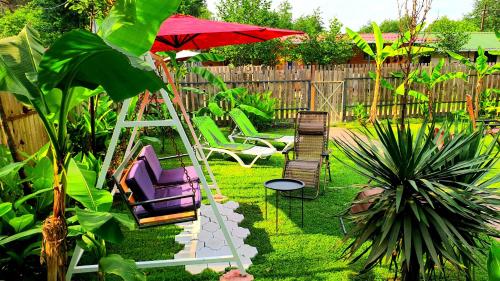 puutarha, House & Yard Sesil XL 90m to beach in Shekvetili puutarha, House & Yard Sesil XL 90m to beach in Shekvetili