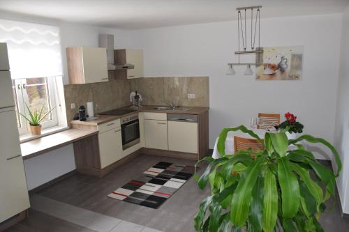 Kitchen, EKO-Hof in Loipersdorf Kitchen, EKO-Hof in Loipersdorf