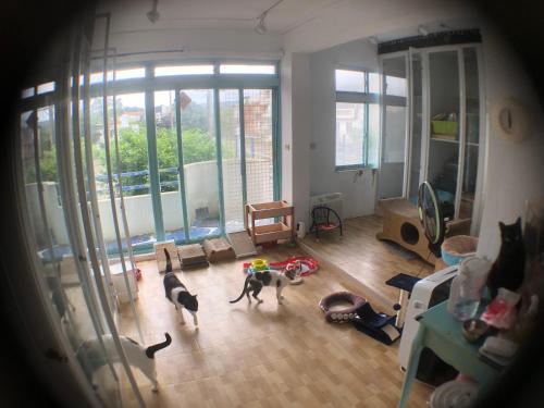 Meo-Woo Cat Travel b&b in Okraj Shanzhi Meo-Woo Cat Travel b&b in Okraj Shanzhi