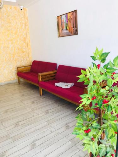 Sapphire Hotel Apartments in Kakkanad Sapphire Hotel Apartments in Kakkanad