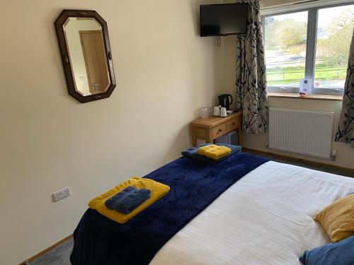 Moelfre B&B in Machynlleth Moelfre B&B in Machynlleth
